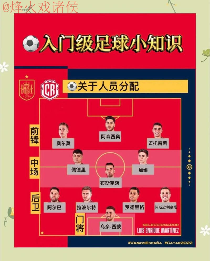 深入解析世界杯外围官方网站的运作与选择